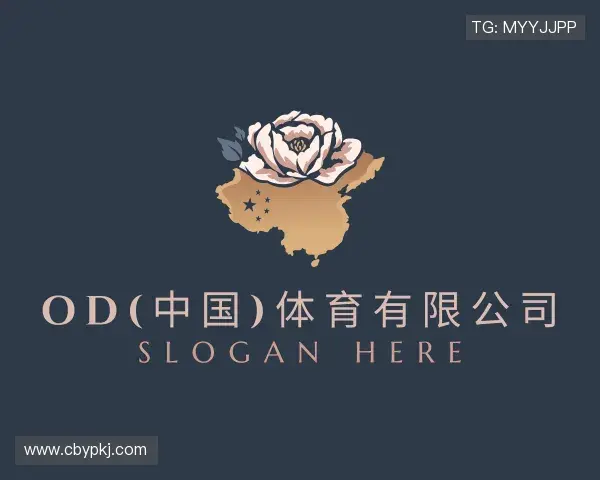 了解OD体育官网